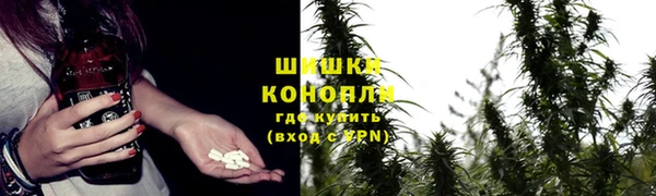 ПСИЛОЦИБИНОВЫЕ ГРИБЫ Нязепетровск