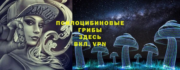 ПСИЛОЦИБИНОВЫЕ ГРИБЫ Нязепетровск