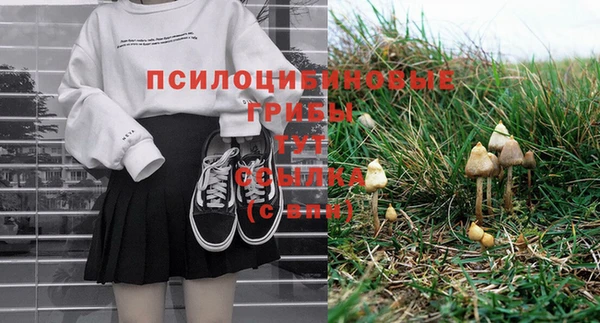 ПСИЛОЦИБИНОВЫЕ ГРИБЫ Нязепетровск