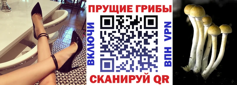 Псилоцибиновые грибы Magic Shrooms  Купить закладки  Нарткала 